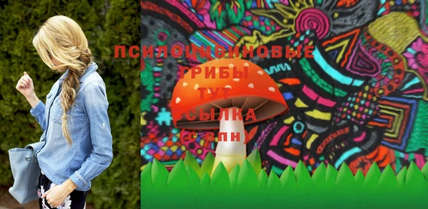 PSILOCYBIN Медногорск