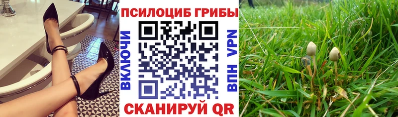 Галлюциногенные грибы Magic Shrooms  где продают наркотики  Лосино-Петровский 
