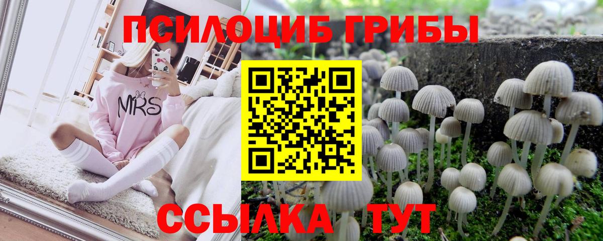 Псилоцибиновые грибы прущие грибы Лосино-Петровский