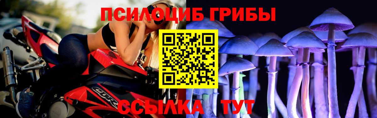 Лосино-Петровский  Галлюциногенные грибы ЛСД  Вход с VPN 